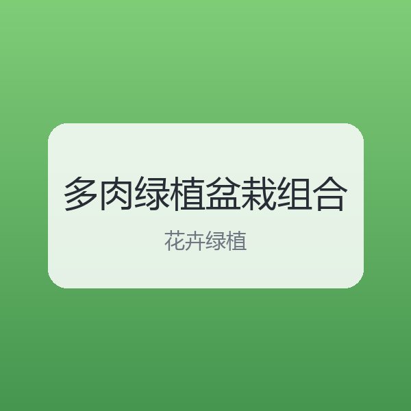 多肉绿植盆栽组合